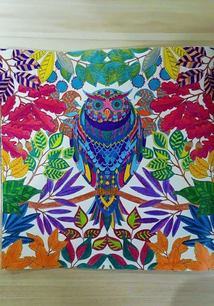 1TiffanyRay's tweet image. #hıdırellez #esrarengizbahce #büyüklericinboyama
Baharın gelişi kadar renkli oldu🌸