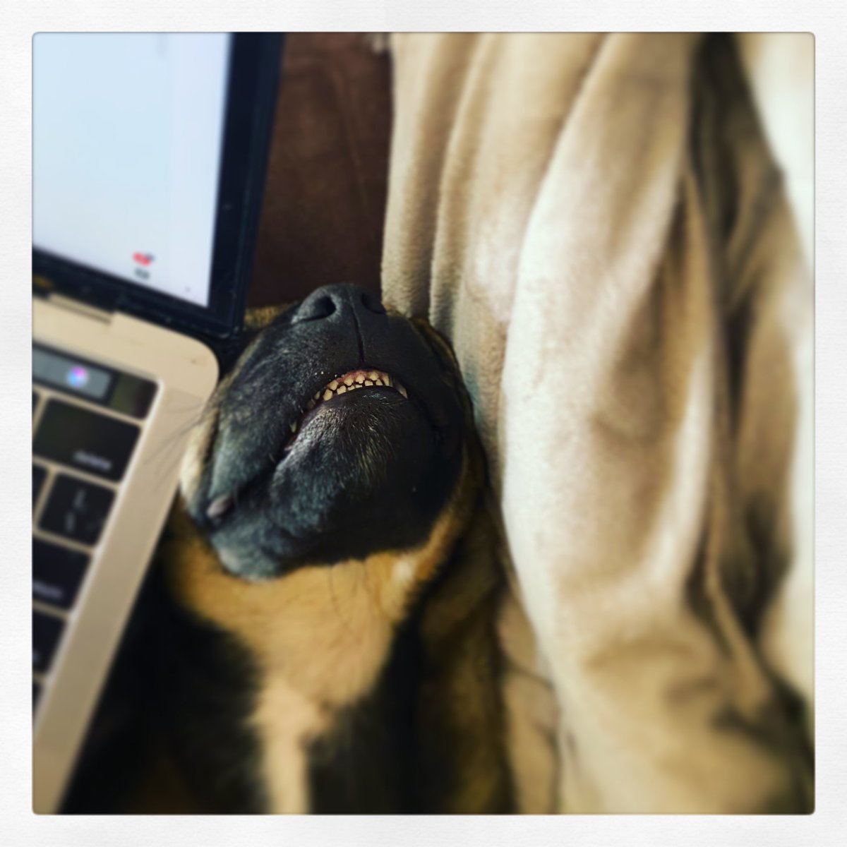 Sleeping on the job... at least he’s smiling! ♥️