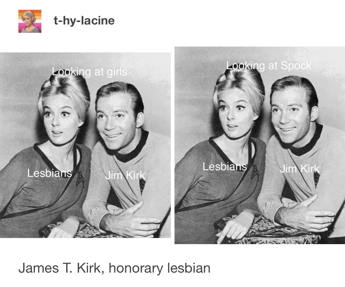 7. spock and jim are honorary lesbians no i will not elaborate