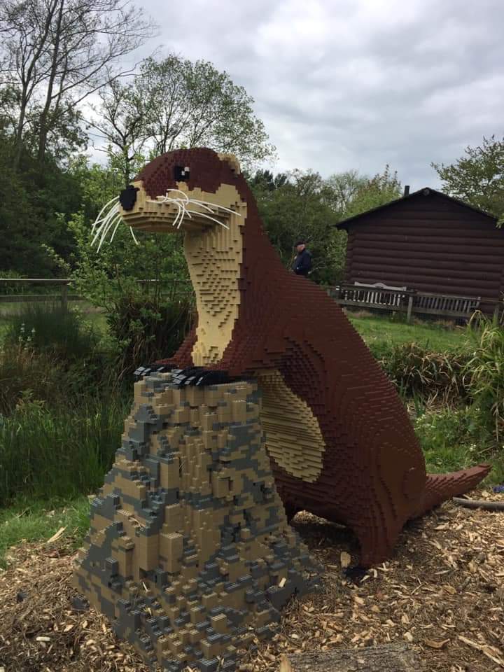 In_Otter_News2's tweet photo. Large Lego Otter!!! https://t.co/UW0GXK9axu