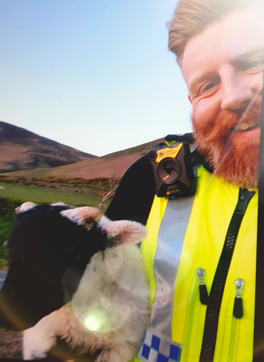 CopelandPolice's tweet photo. Join the Police to catch criminals they said! There was no mention of chasing after rogue lambs. @BBCCountryfile #ruralcop #cumbria #runaway #2822 https://t.co/PXWWdxfnSx