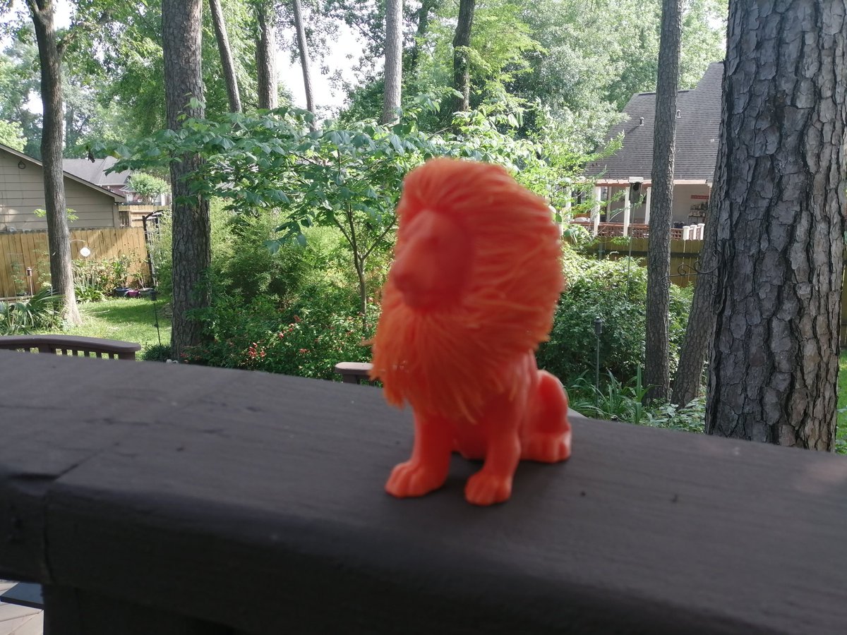 The Coleman family strikes again! A personal (and socially distanced) delivery was made with chips and salsa for Cinco de Mayo, some cookies for, well, cookies and I was also gifted with a 3-D printed lion made by Patrick himself!  I really feel special!
<a href="/LClionsPTO/">Lake Creek high school PTO</a> <a href="/LakeCreekHS/">Lake Creek High School</a>