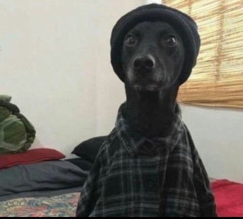 Afrikahotlines's tweet image. Read this 😩