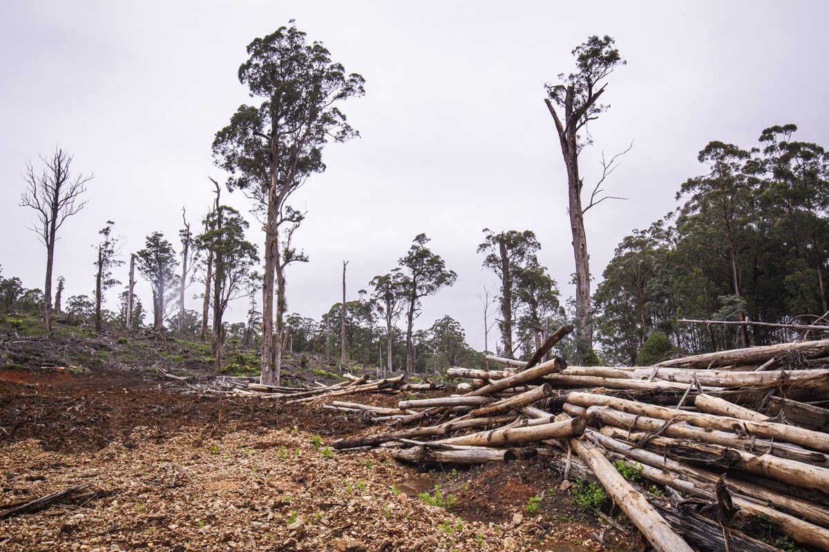 James Watson tweet media