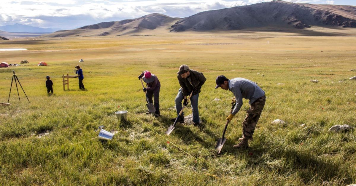 tac_org's tweet photo. "New data from places typically left out of the conversation may help fill the holes in the story of horse domestication."

https://t.co/tyotVeCRxp

#Archaeology #AnimalDomestication #Horses https://t.co/UDqVsESc2V