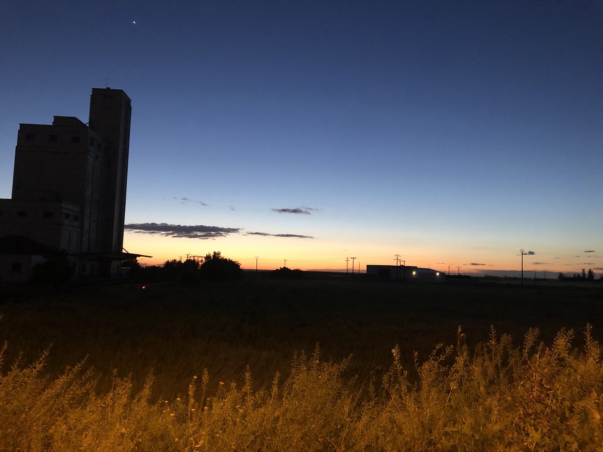 Yolanda González tweet media