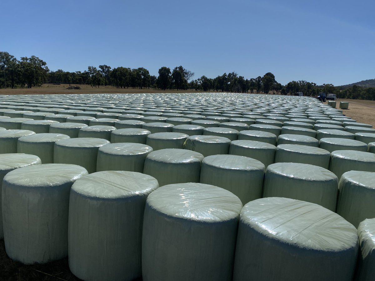 Paul Ford tweet media