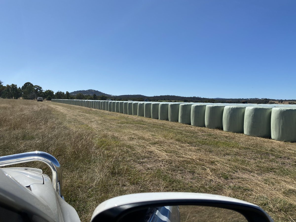 Paul Ford tweet media