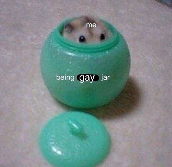 PerfectPeletier's tweet photo. Describe yourself ONLY using pictures you have you CANNOT search or download new pictures https://t.co/a8t6Ad4vsf