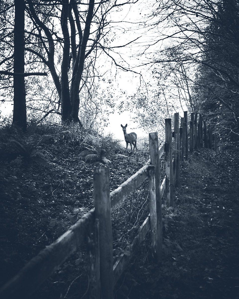 Rishabh Shukla tweet media