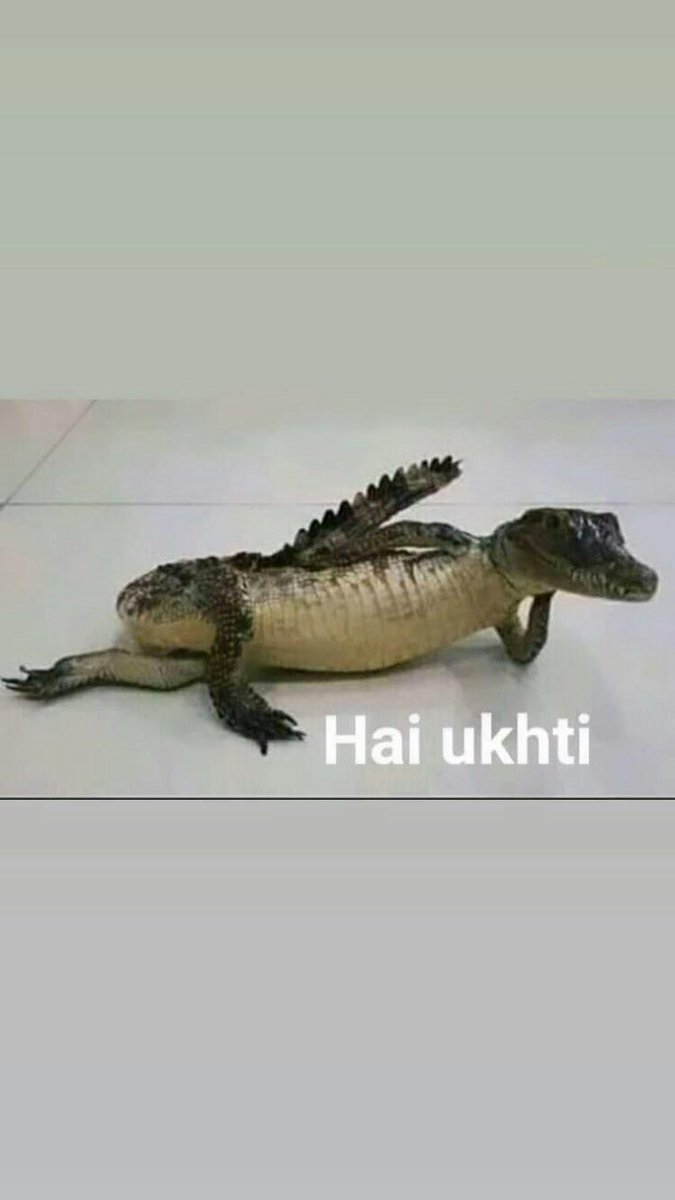 AbangZai tweet media