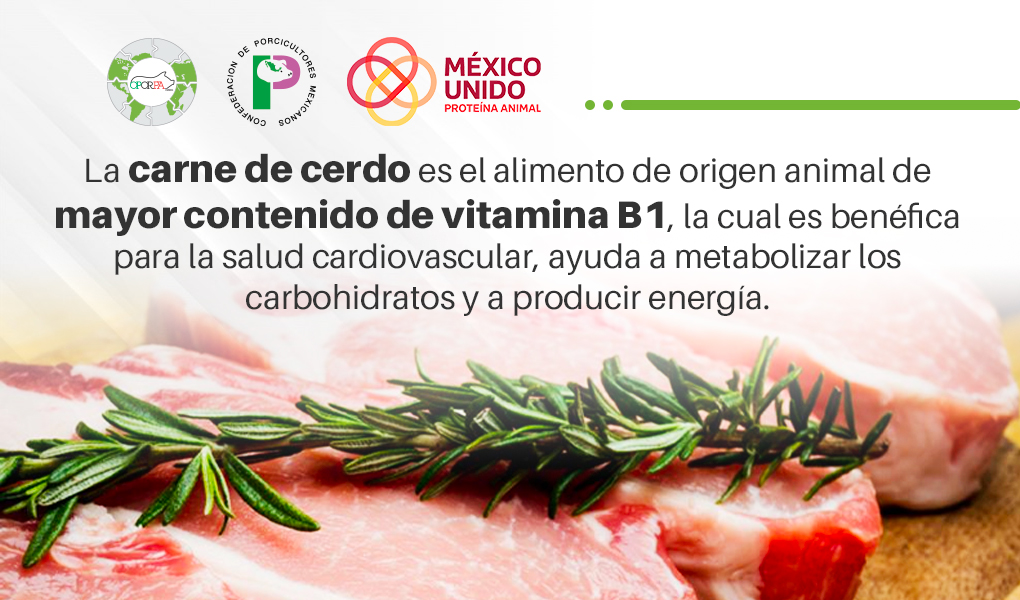 Opormex_org's tweet photo. Beneficios de consumir carne de cerdo.
Trabajaremos con México Unido Proteína Animal
#MéxicoUnido #ProteínaAnimal #MéxicoSolidario
#AbastoGarantizado #Porlaseguridaddelostuyos https://t.co/NIISMgCBWB