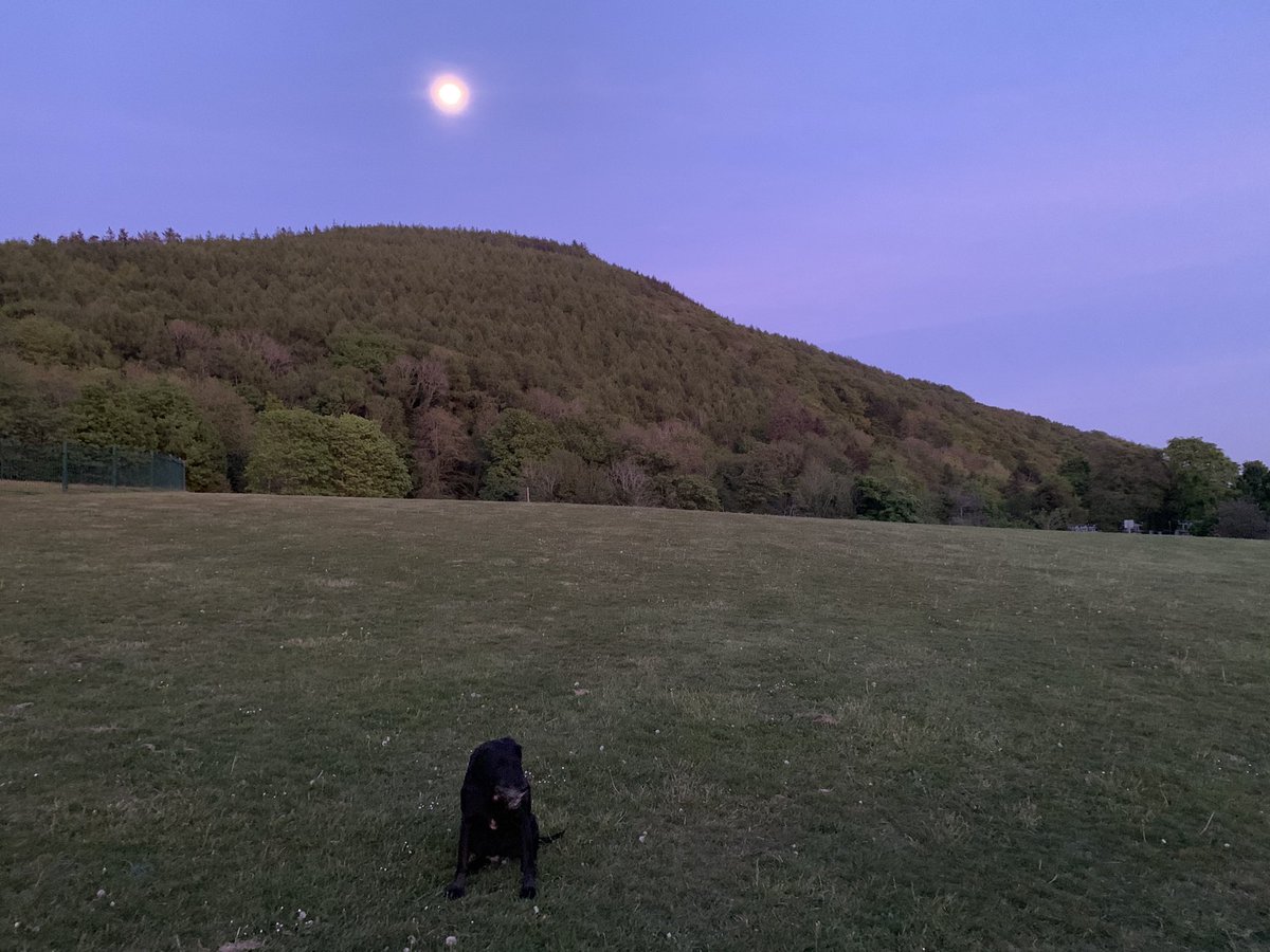 Siúlóid bheag timpeall na cluana roimh codladh. #gaeilge #PáircChillBhrónaí #CaisleánRuairí #ContaeAnDúin