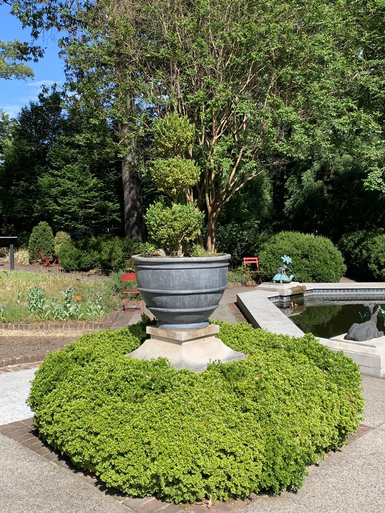 There are always a fair amount of birds and wild life at the Dixon. But since we have no visitors and there are very few staff on the property these days, nature is claiming the choicest spots for itself.