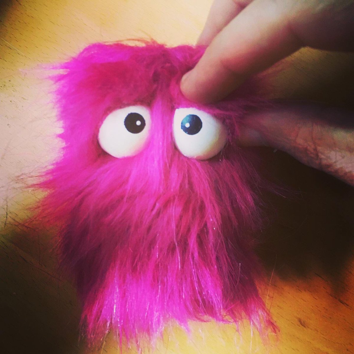 jesseedwardthom's tweet photo. finishing the eyes on this shaggy shaker before she gets shipped off to Edmonton to join someoneโs sweet band.
#puppetshaker
#handmadeshaker
#shaggyshaker
#saltspringarts
#jessethom https://t.co/YdQ0Q2BElP