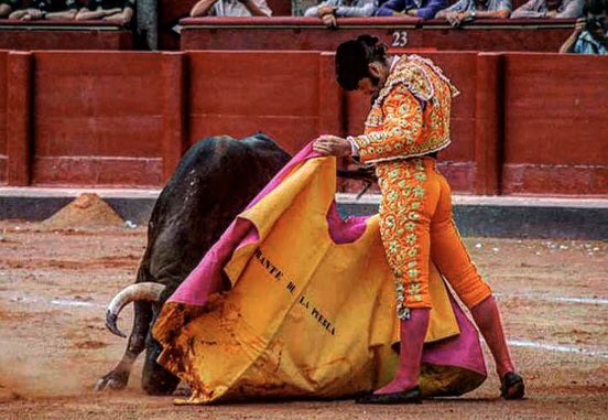 sergiomoreno16's tweet photo. El fútbol es un espectáculo mediocre gestionado por gente brillante, el toro es un espectáculo brillante gestionado por gente mediocre. 

📷 No se https://t.co/q2cA9J5Agf