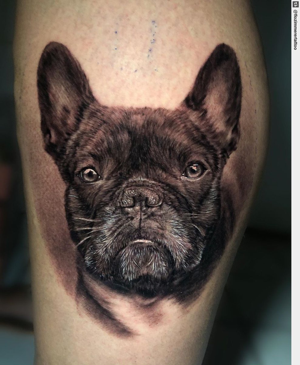 100 Bulldog Tattoo Ideas for Men and Women 