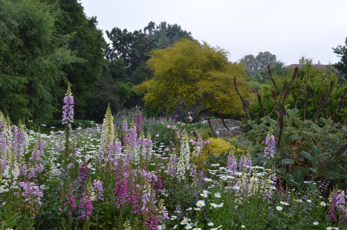 Feast your eyes on these photos from the gardens. They were snapped over the weekend by Kelly Fernandez, the head gardener for the Herb and Shakespeare gardens. #TheHAtHome #MuseumMomentofZen