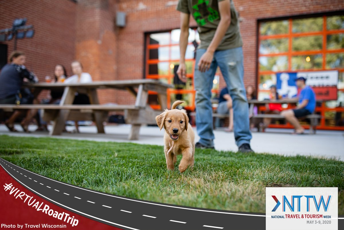 VisitEauClaire's tweet photo. Come on, Max! Good brews and puppy love; a bucket-list combination you need to check off at the @brewingprojekt. Eau Claire proudly welcomes all four-legged friends. #VirtualRoadTrip #nttw20 https://t.co/3TOVnA8z2h