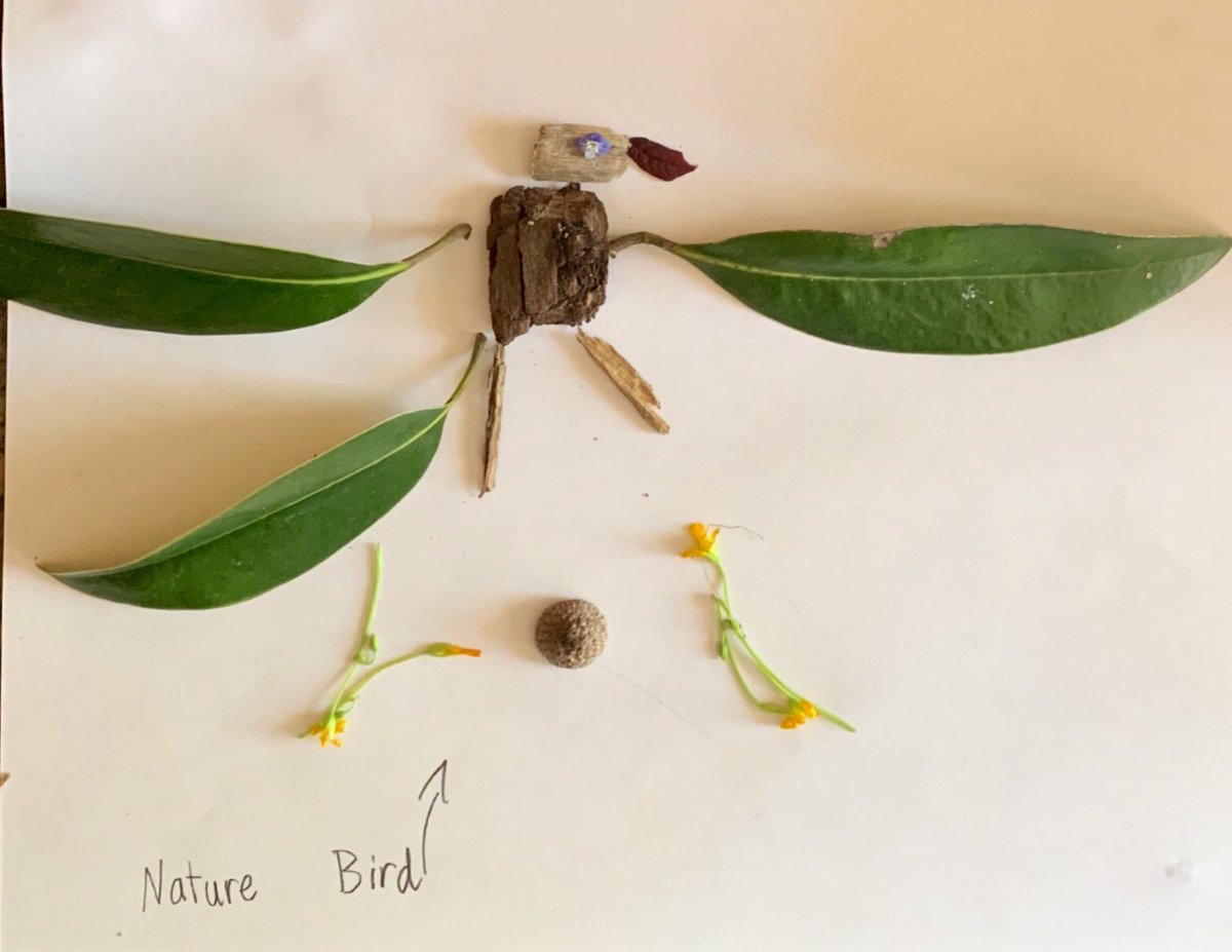 “Nature Bird” #natureart #mpsatogether #apsarts #arteducation