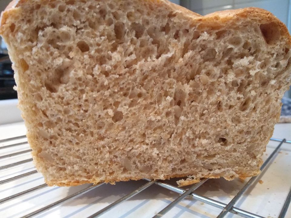 Sophiaz12's tweet image. tweaked bread recipe by adding some whole wheat (120grams to total 300 w unbleached, too)  50 grams sunflower/sesame seeds. rose 2 long fell. But FLAVOR is DIVINE !! #Scratchbaking 

Going to advance to fresh milled flour soon!