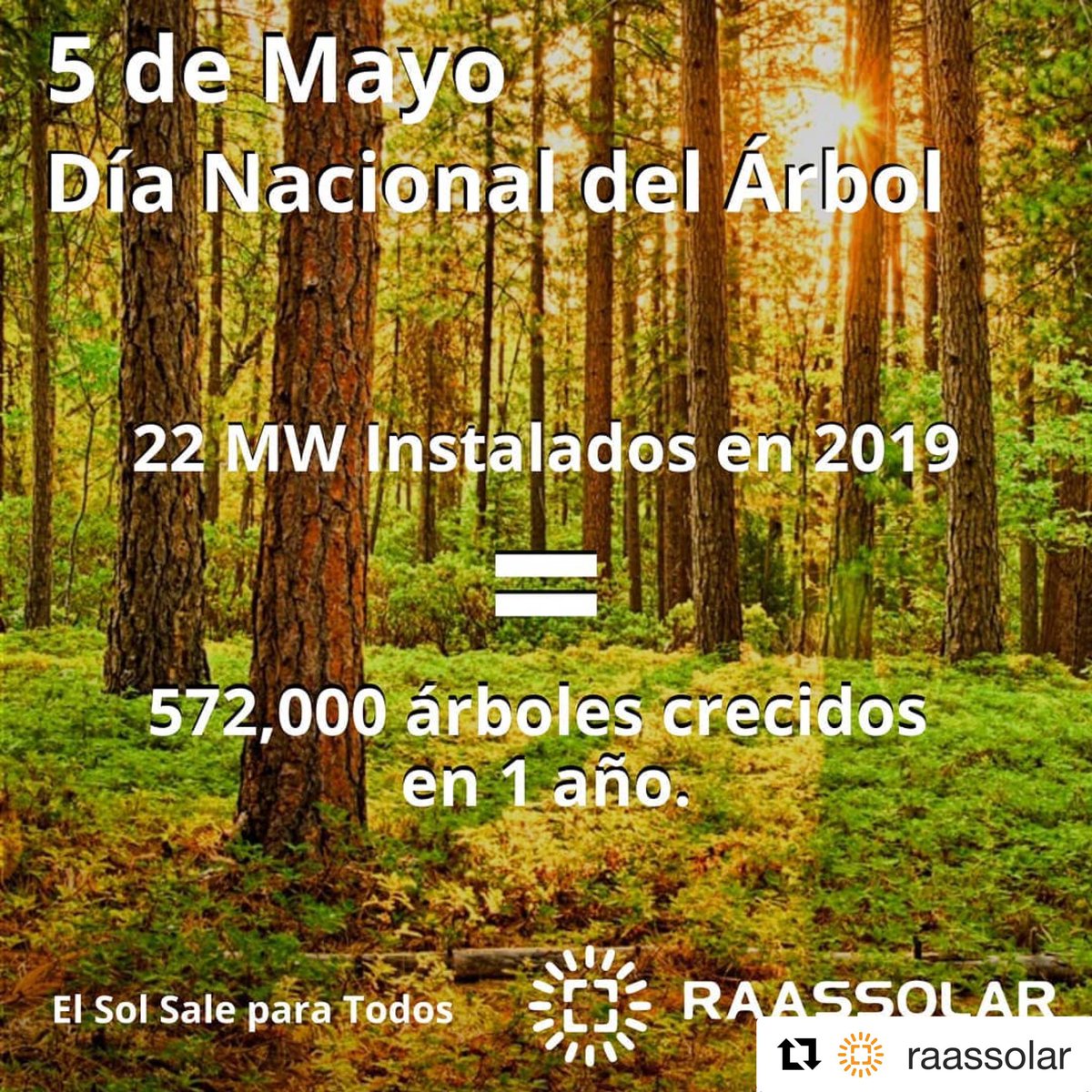 CarlosFGM's tweet photo. En el 2019 instalamos 22 Megawatts en sistemas de paneles solares, lo que aportó una importante reducción de CO2 al planeta equivalente a 572,000 árboles crecidos en 1 año.
#RaasSolar #ElSolSaleParaTodos #FacturaEn0 #EnergíaSolar #EnergíaRenovable #DíaNacionalDelÁrbol https://t.co/il3zjqPjQM