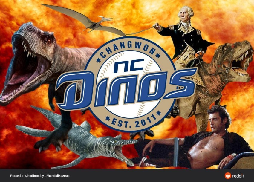 professional idiot tweet media