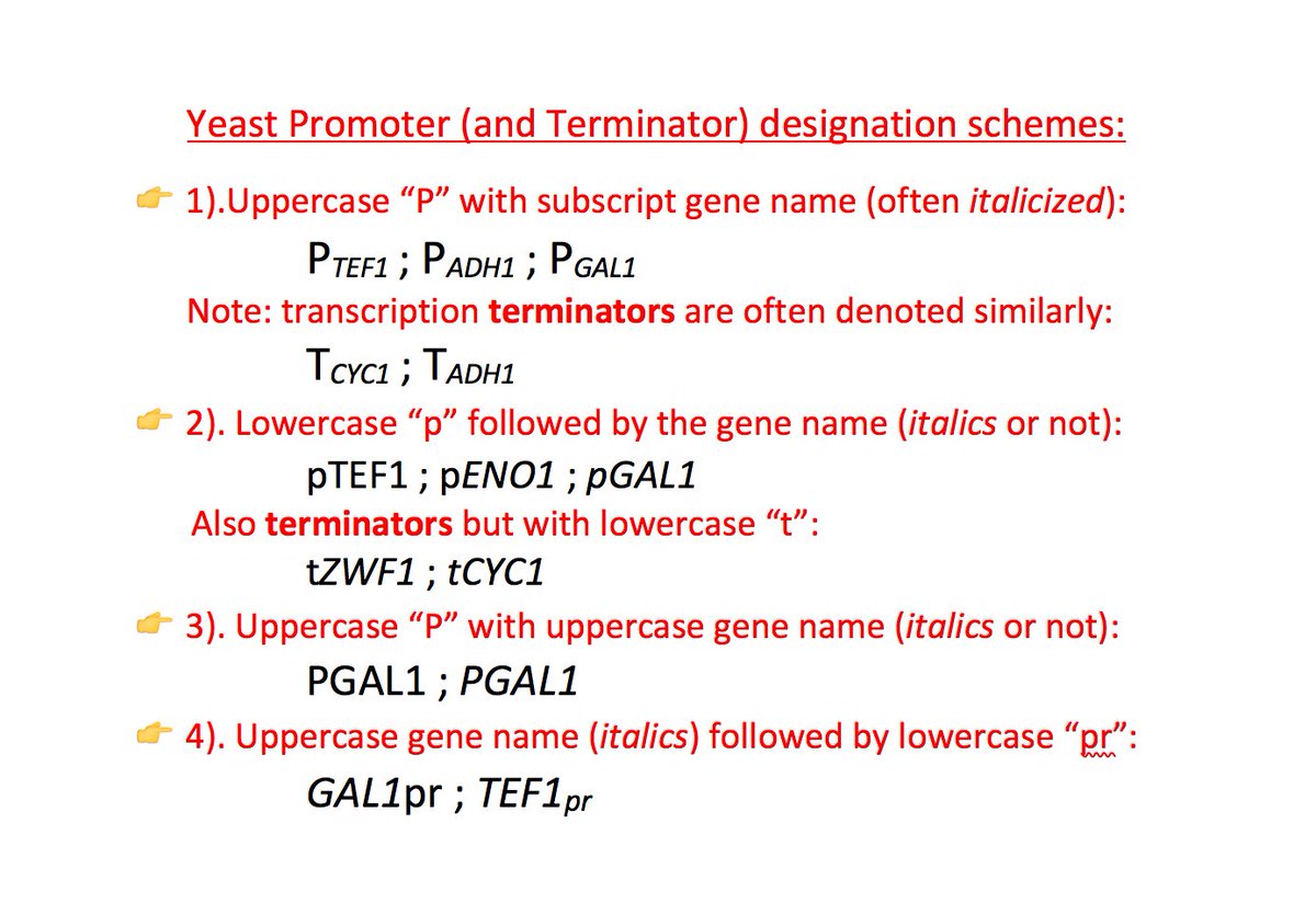 SGD Project @yeastgenome@genomic.social (bsky too) (@yeastgenome) on Twitter photo Hi <a href="/genomedynamics/">Stephen Gray</a> and <a href="/lichtenmj/">Michael Lichten</a> 👋
Good question about promoter naming in #yeast! There are no formal “rules” by SGD/yeast community for designating promoters & terminators. We have found the following conventions in use, and would appreciate folks to follow one of these: Hi <a href="/genomedynamics/">Stephen Gray</a> and <a href="/lichtenmj/">Michael Lichten</a> 👋
Good question about promoter naming in #yeast! There are no formal “rules” by SGD/yeast community for designating promoters & terminators. We have found the following conventions in use, and would appreciate folks to follow one of these: