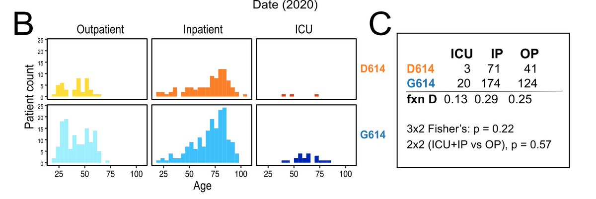 ProfMakris's tweet photo. Are we dealing with a new variant of SARS-CoV-2 in Europe. The original in China was D614 but in Europe the G614 variant is taking over. More transmissible but not associated with disease severity. Study from Sheffield and Los Alamos. https://t.co/SnGp6zLhpo https://t.co/vyQQjdGzz4