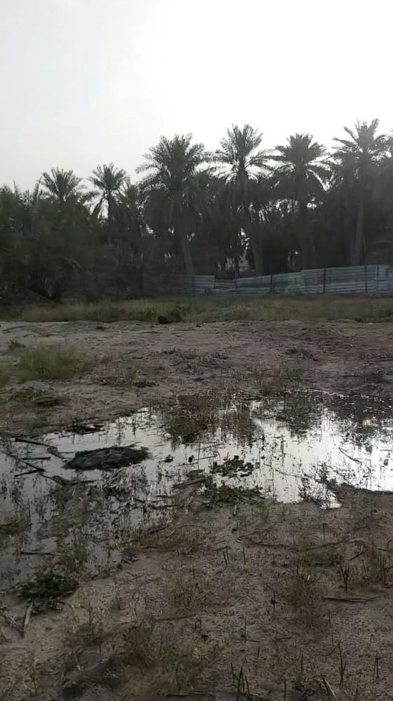morouna tweet picture