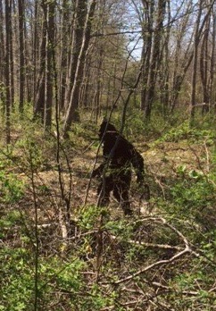bubbleshow's tweet photo. @somegoodnews Yesterday discovered a double-take worthy cut-out of Big Foot near my home in East Haddam, CT. Today it appears to have gotten the protocol memo. Casey Carle. Should bring some smiles.  My version of pandemic good news looks like this https://t.co/uAsVhvbGe0 https://t.co/rLy3tR4ui8
