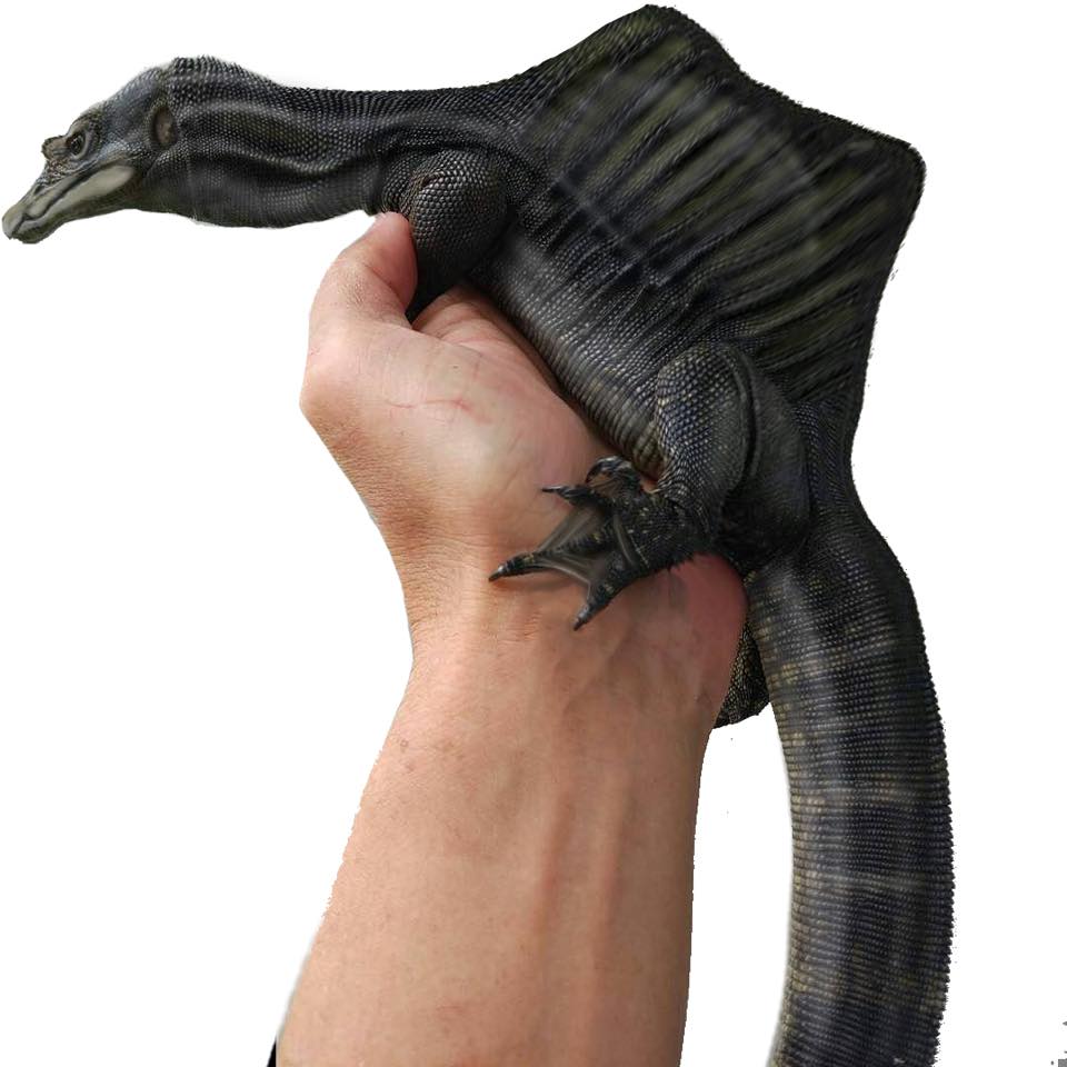 Fan De Bach C Est Trop Mignon Les Bebes Serpents