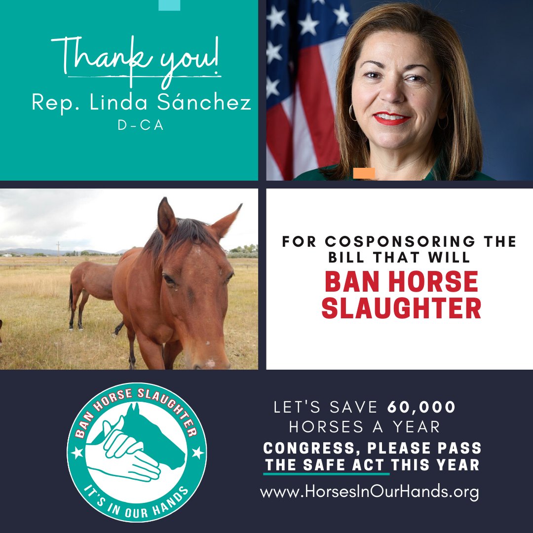 HorsesInOurHand's tweet photo. #IOHAF had a great call with the office of
@RepLindaSanchez on the urgency of banning horse slaughter. We asked her to call on @SpeakerPelosi to bring the #SAFEAct up for a vote. Have you called your Rep? #banhorseslaughter #HorsesInOurHands #Yes2SAFE #endhorseslaughter https://t.co/vhypIRt6Zl