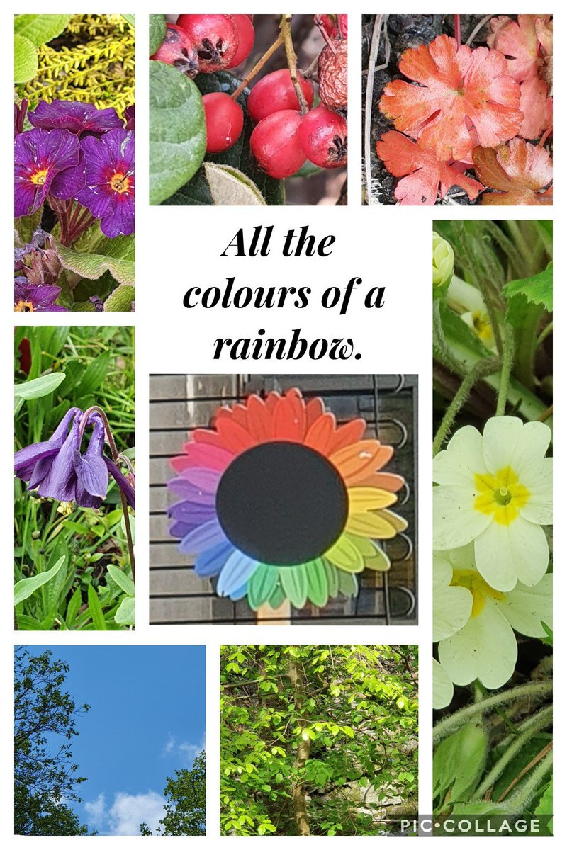 DPSWilliams tweet media