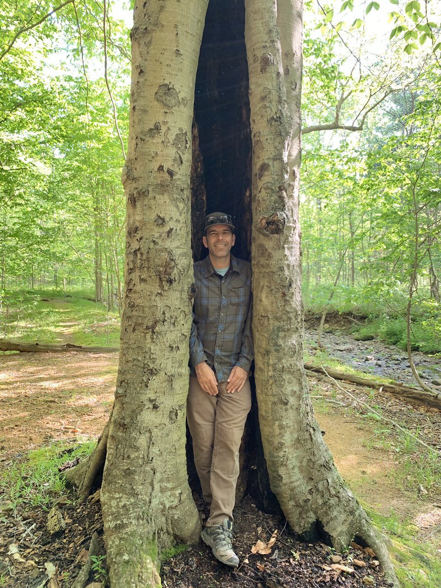 treesrtheanswr's tweet photo. Happy Tree Hugger Tuesday! Sometimes trees hug you back. Hope you are able to get out and enjoy some flowering spring trees wherever you are. 🌲🌳 #treehuggertuesday #treehugger #trees #makeshadenotwar #moretreesplease #treetwitter https://t.co/CvzJh681ln