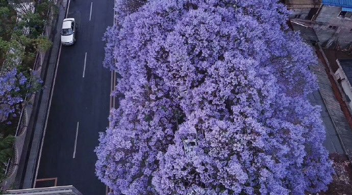 فن | art tweet media