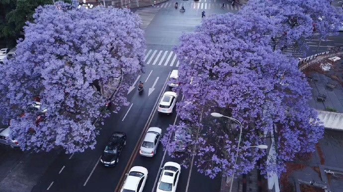 فن | art tweet media