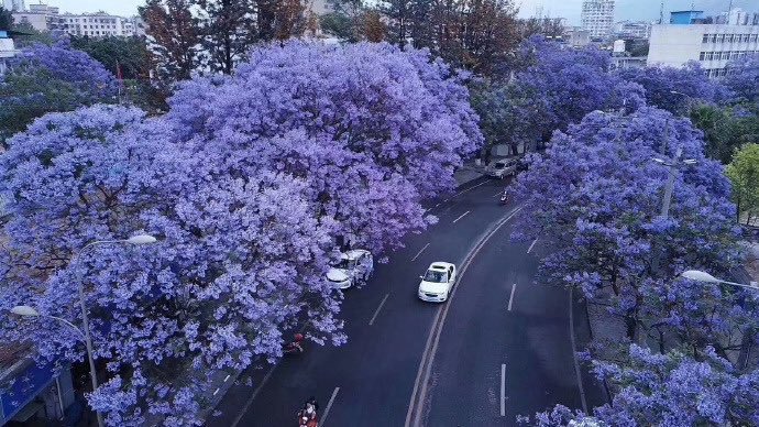 فن | art tweet media