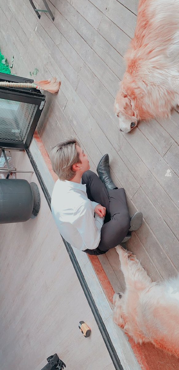 BTSBangtanLocks's tweet photo. @BTS_twt >Locks Simples Jimin<
- Fav if liked
- Rt if saved
- Print if you are using

@BTS_twt #Bts

¤Isah https://t.co/r1XYoKOgk4