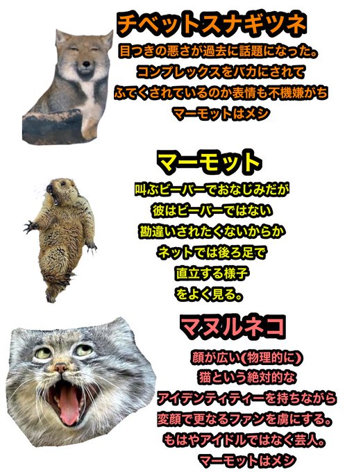 自撮 の鬼 もりと法師さん の最近のツイート 5 Whotwi グラフィカルtwitter分析 自撮 の鬼 もりと法師さん の最近のツイート 5 Whotwi グラフィカルtwitter分析