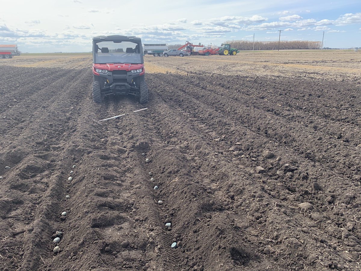 Tworky9's tweet photo. Finally some nice weather to do some planter digs!🥔🍟 #plant2020 #springworkout https://t.co/Y66u6oSLFG