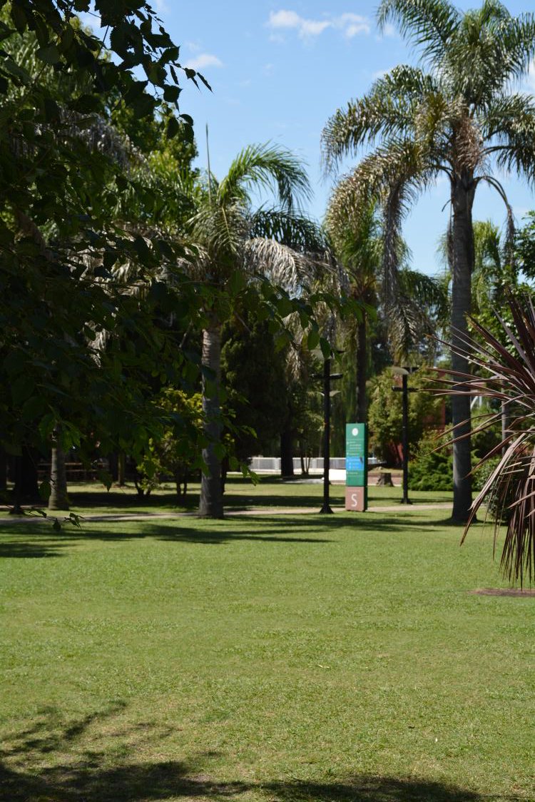 ClubBPLP's tweet photo. #Mantenimiento #Club 🇳🇬 🏡 | MANTENIMIENTO MÍNIMO
⚠️ Se están realizando cortes de pasto con todas las medidas necesarias, para mantener el Club en condiciones y esperándolos.
📸 Foto archivo.
#QuédateEnCasa 🏡 #Deportes #BancoProvincia #LaPlata #VeniAlClub https://t.co/eGL2Zz2aqa