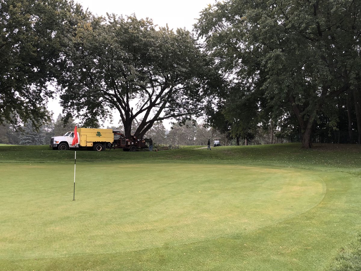 NevinHessGCS's tweet photo. Out for the evening walk. After two winters of tree removal it is safe to say the 14th green is letting out a big sigh of relief this Spring. @DogsOfTurf #slightimprovement #noshade #roots https://t.co/QQu4CwRGWa