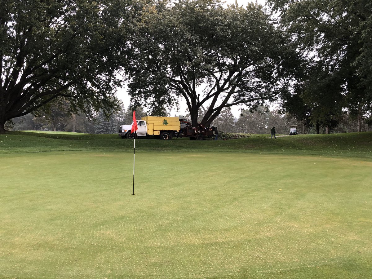 NevinHessGCS's tweet photo. Out for the evening walk. After two winters of tree removal it is safe to say the 14th green is letting out a big sigh of relief this Spring. @DogsOfTurf #slightimprovement #noshade #roots https://t.co/QQu4CwRGWa