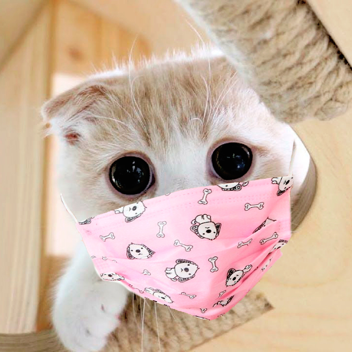 nxtaeyong's tweet photo. 🎀 · cᥲrᥲmᥱlo sᥲys ね_tᥲkᥱ 𝕔𝕒𝕣𝕖 of yoursᥱlf ! › @ur_acts % #hellokitten ⁺ #2ndmission ♡ https://t.co/fQrCTSnxUC