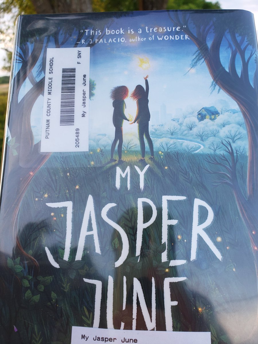 I love this book! One positive thing about quarantine is that I've got a little more time to read some amazing books.  I don't want this one to end so I'm trying to savor it! Highly recommended from this librarian! #itwillmakeyoucry #itsworthit #glma