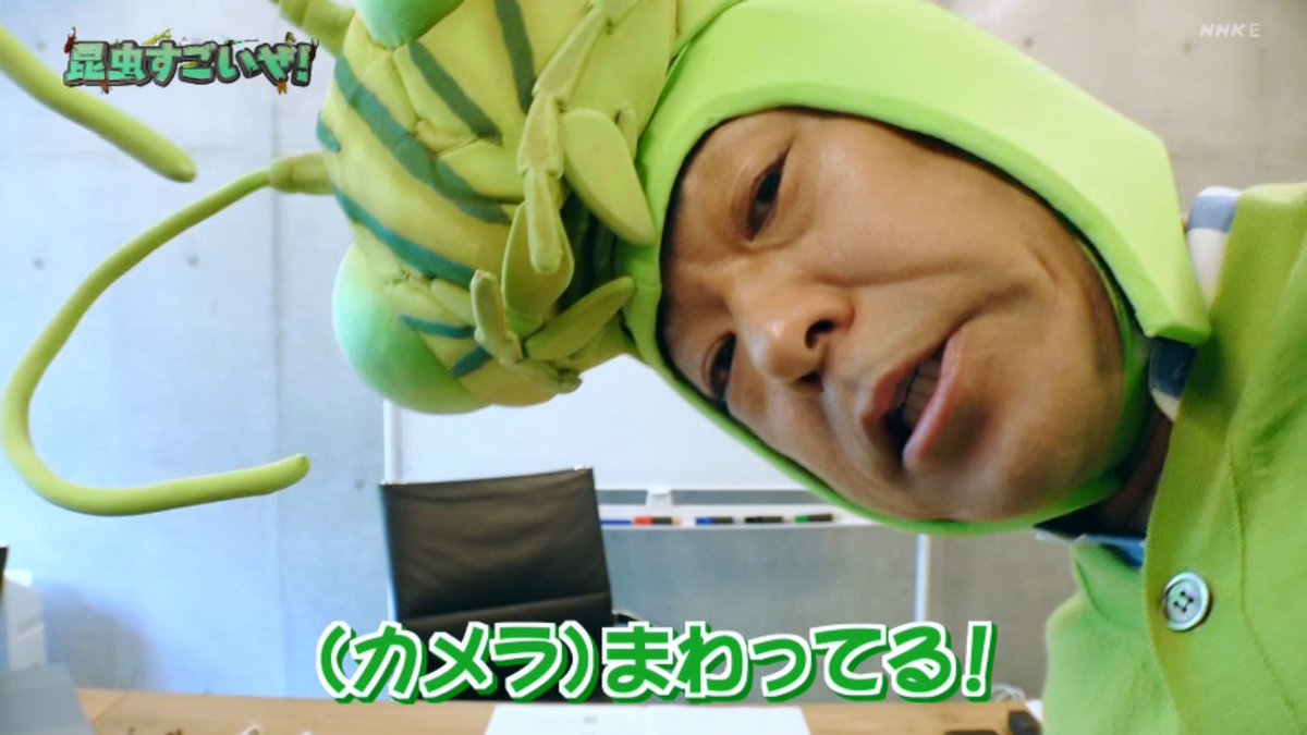 すごい おうち で ぜ 昆虫