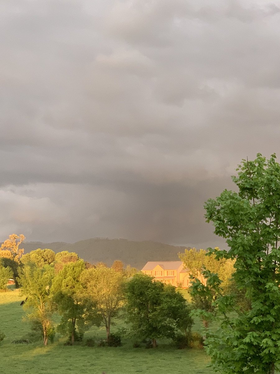 ecwaters67's tweet photo. AMAZING clouds over the foothills in Blount County!  @10weather https://t.co/sstJ5v1Yzd