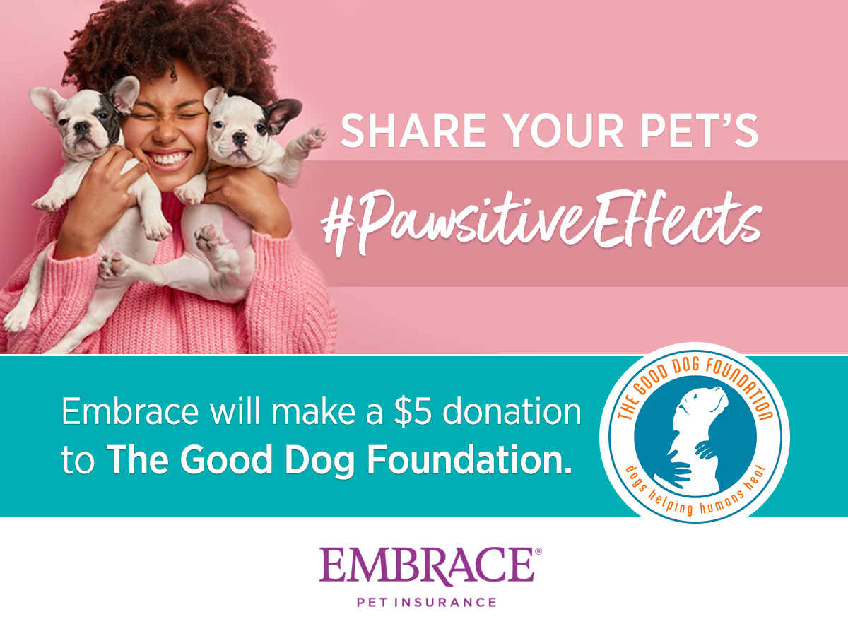 amplifyhashtag's tweet photo. Hashtag: #PawsitiveEffects | Embrace Pet Insurance Partners with The Good Dog Foundation During Mental Health Awareness Month https://t.co/OWsEGXyodI @GoodDogTherapy @EmbracePetIns #digitalmarketing #socialmedia https://t.co/3bulufkkwO