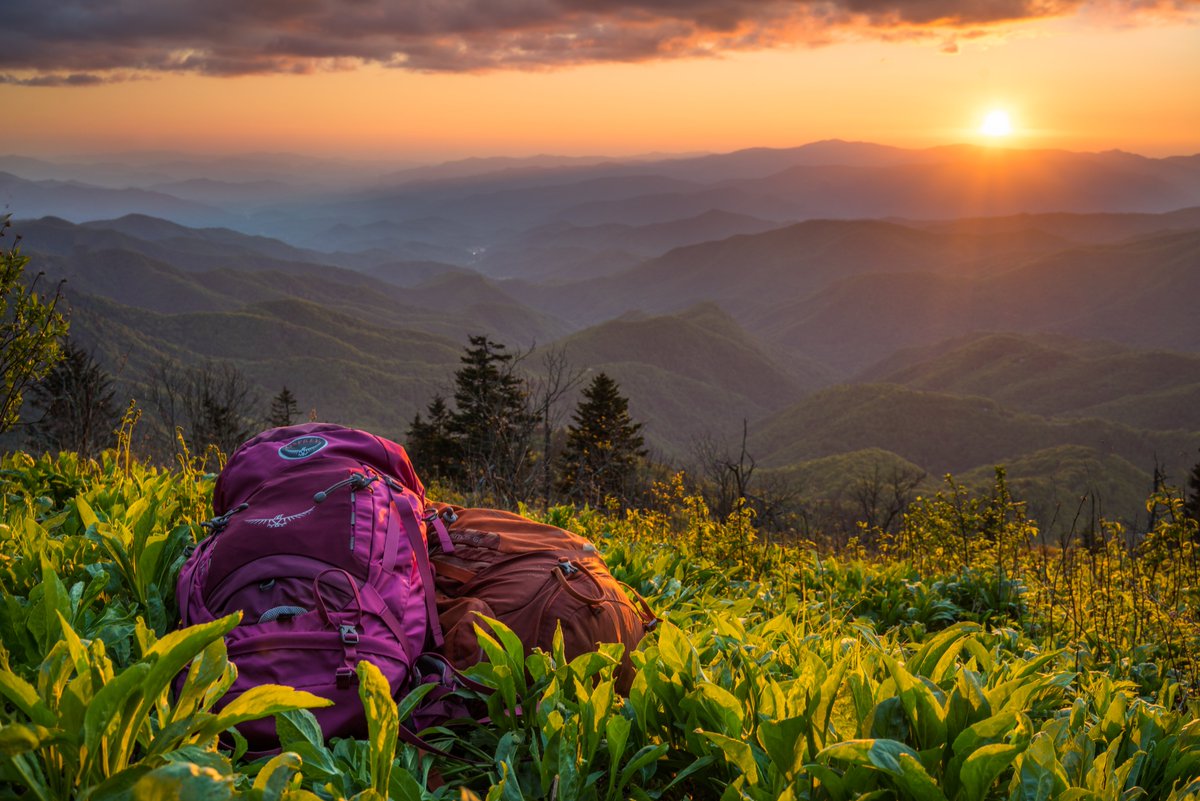 VisitNC's tweet photo. Stunning sunsets can be found all across our state - in the mountains, in our cities and at our beaches! 😍

Pro tip: visit the Brunswick Islands between late fall and early spring to watch the sun rise *and* set from the same spot.

#VirtualRoadTrip https://t.co/K2QUIxsojB